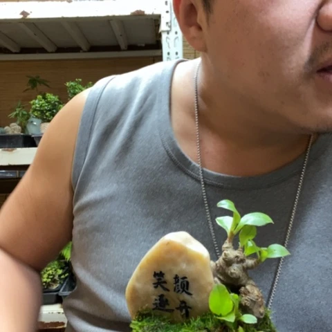 红陶一物一拍所见即所得97