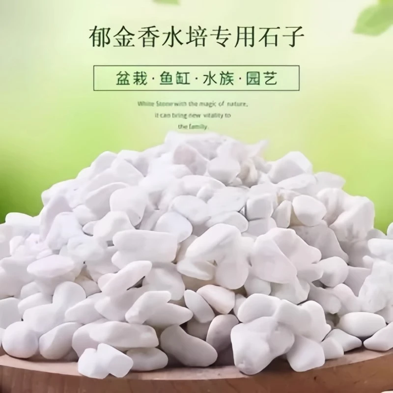 鹅卵石小石头郁金香水培石子养花专用多肉铺面石铺底雨花石五彩石