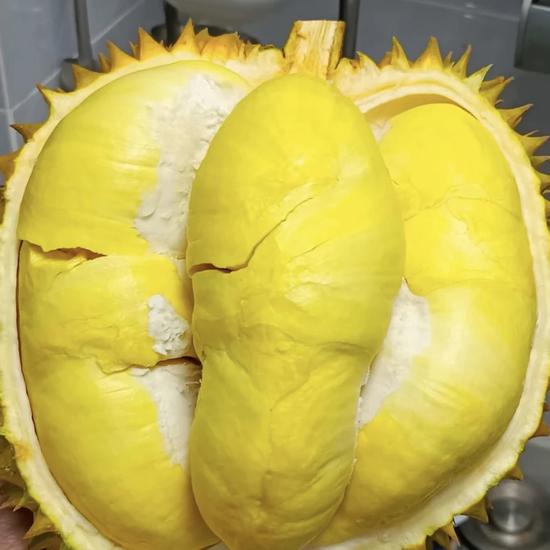 【一物一拍】新鲜整果泰国空运树熟金枕4-8斤（果核小）泰国金枕金枕泰国