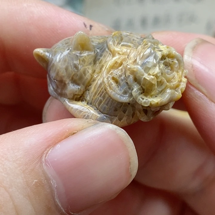 硅化珊瑚（珊瑚玉）未镶嵌颈饰