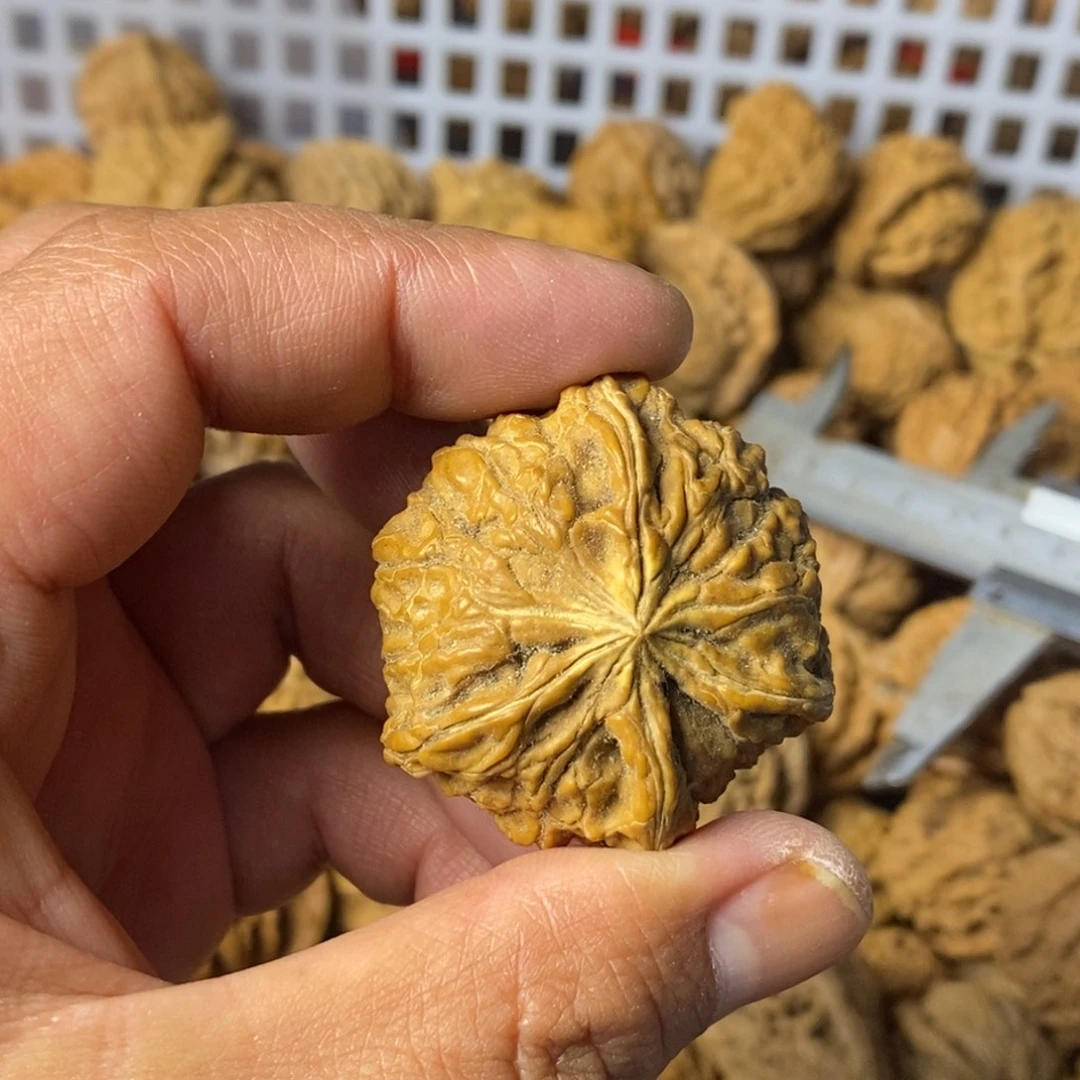 大***闪大叶紫檀（黑酸枝木类）