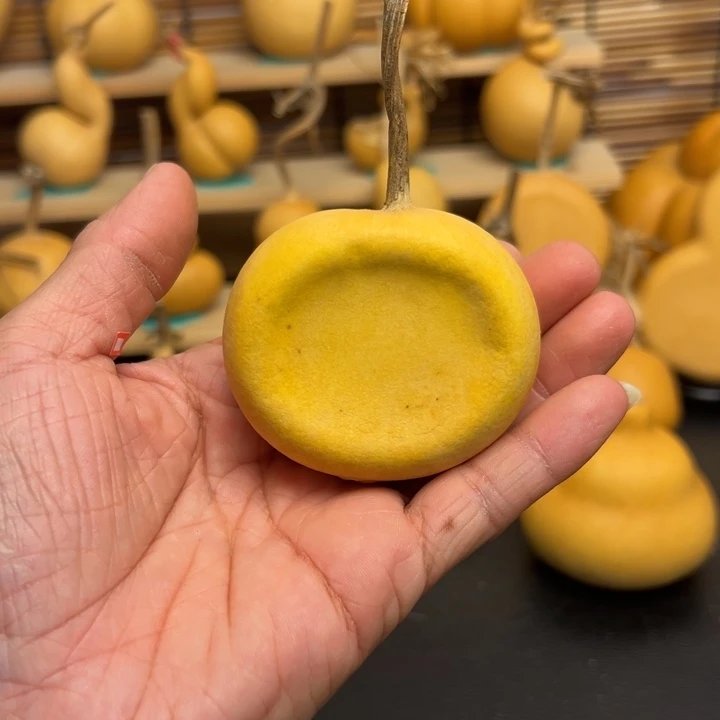 ?***ᐝ55366665656588