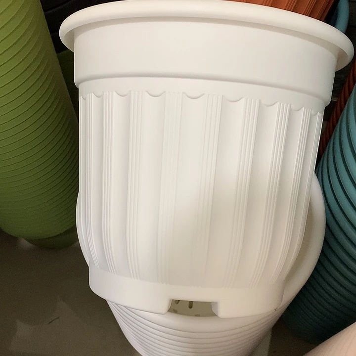 罗马口32高28白3个