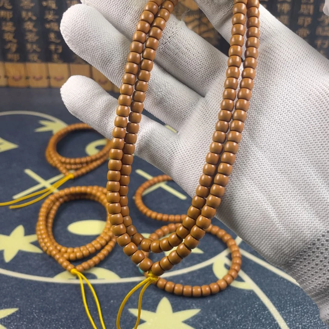 金*?橄榄啊啊啊啊啊啊啊啊啊