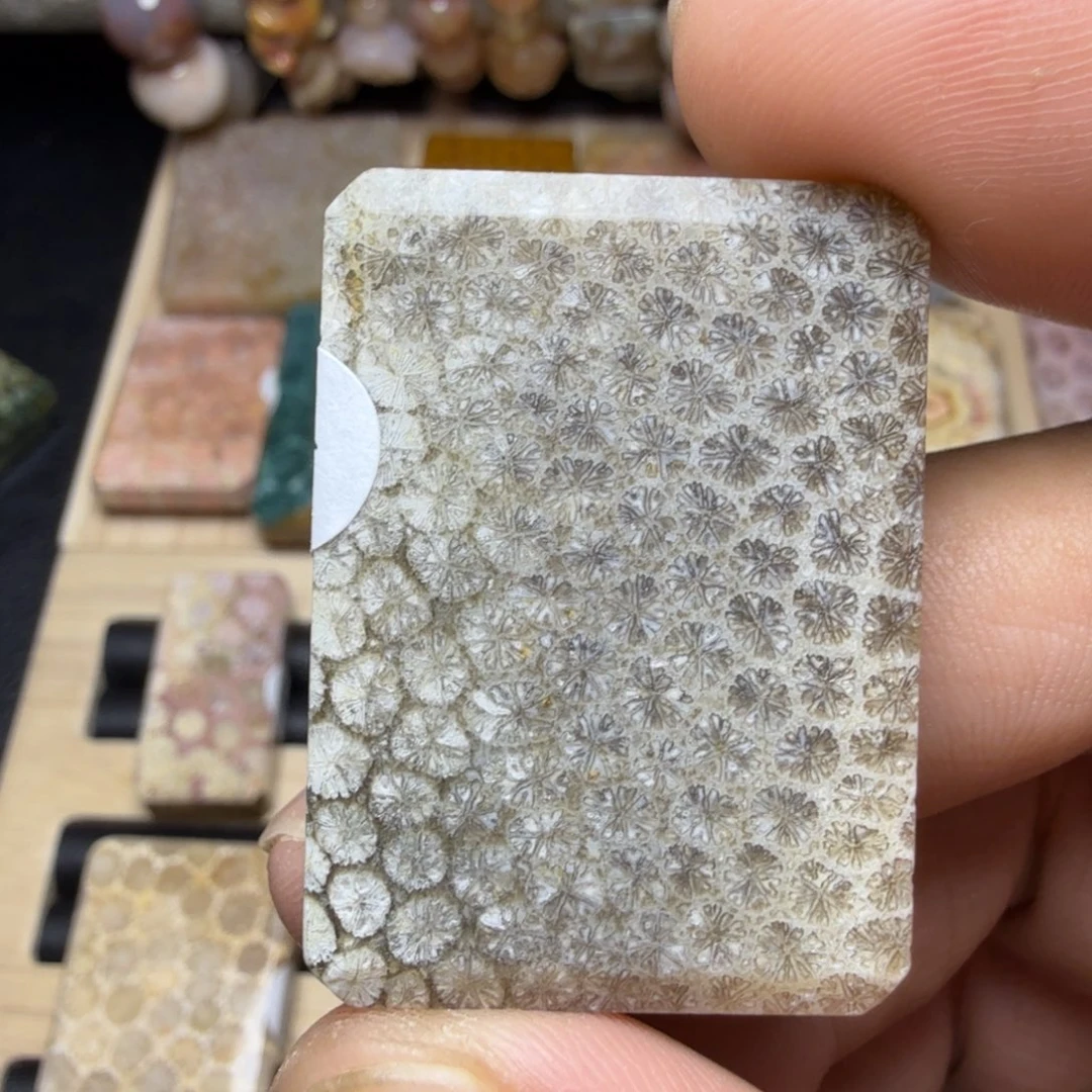 硅化玉未镶嵌纯天然色有机玉石保真色