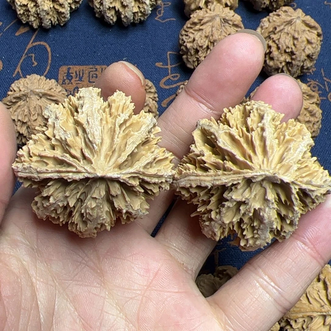 文玩核桃把件秦岭野生植物核桃