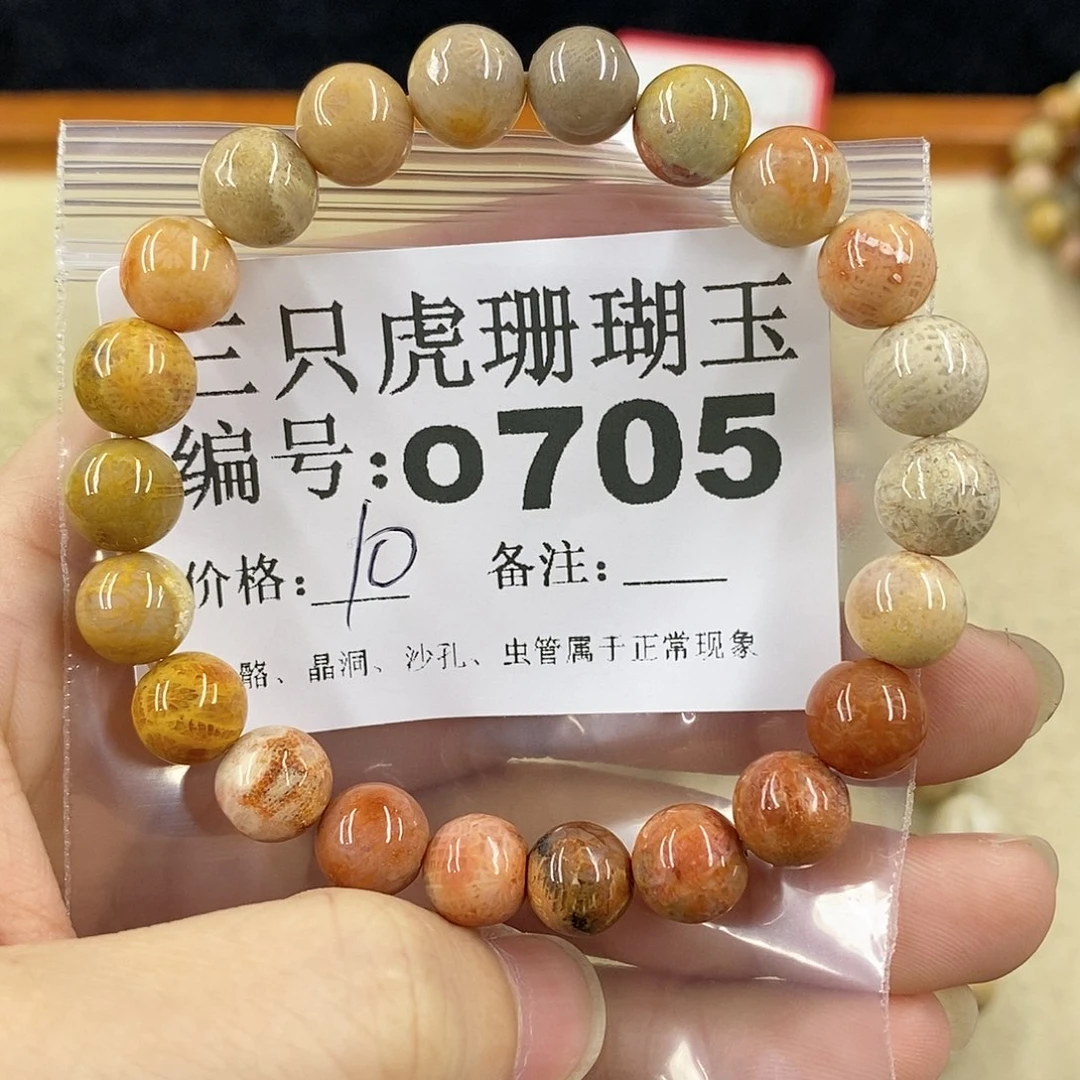 硅化珊瑚（珊瑚玉）1未镶嵌H***Y