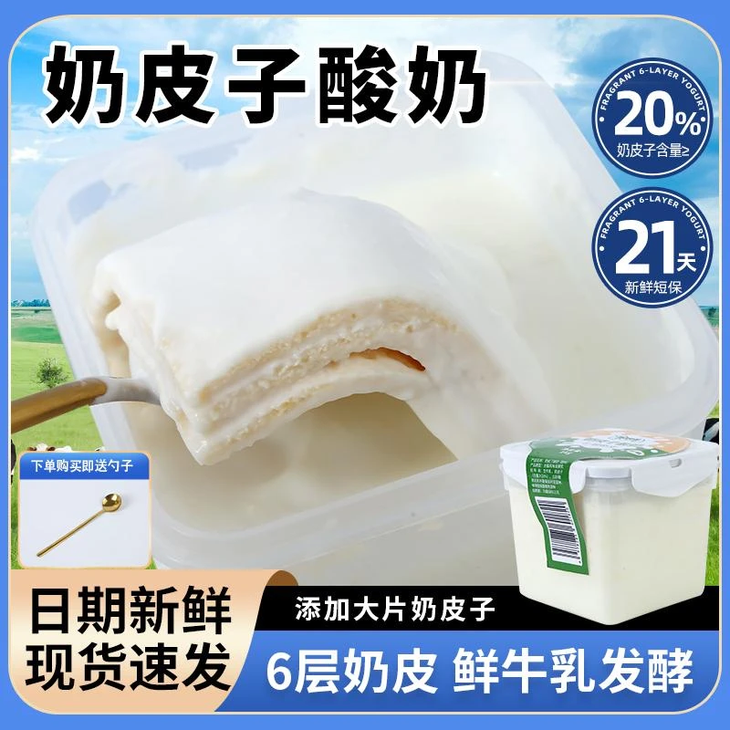 牧少主内蒙古鲜奶皮子酸奶六倍奶皮子酸奶plus版