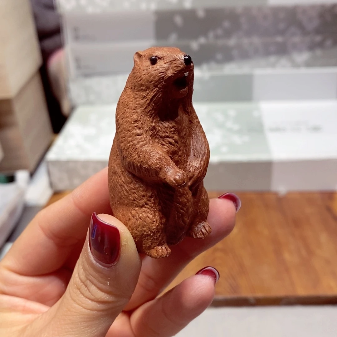 如图所示 观兰器物