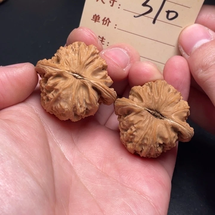 文玩核桃把件白狮子37尺全品白茬310