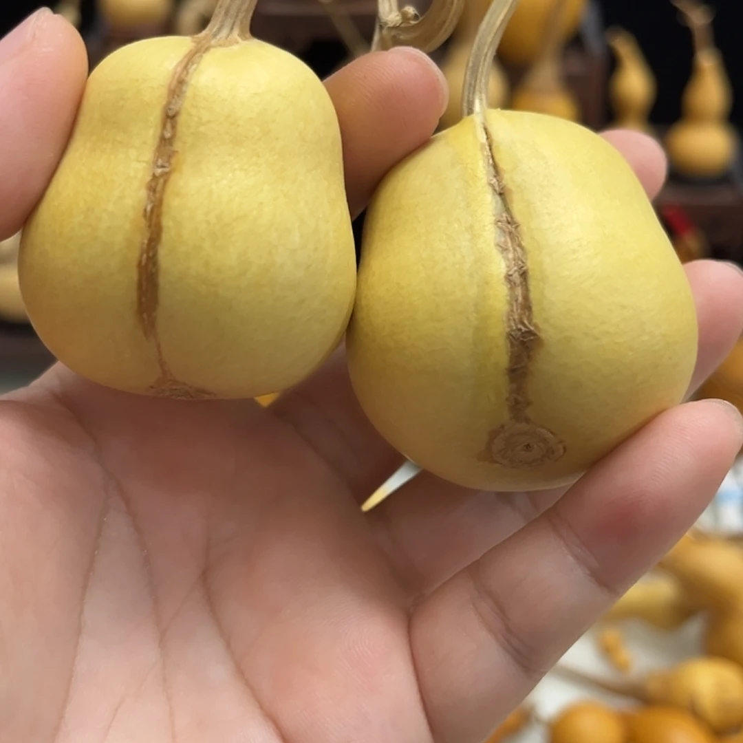藤葫芦葫芦葫芦葫芦