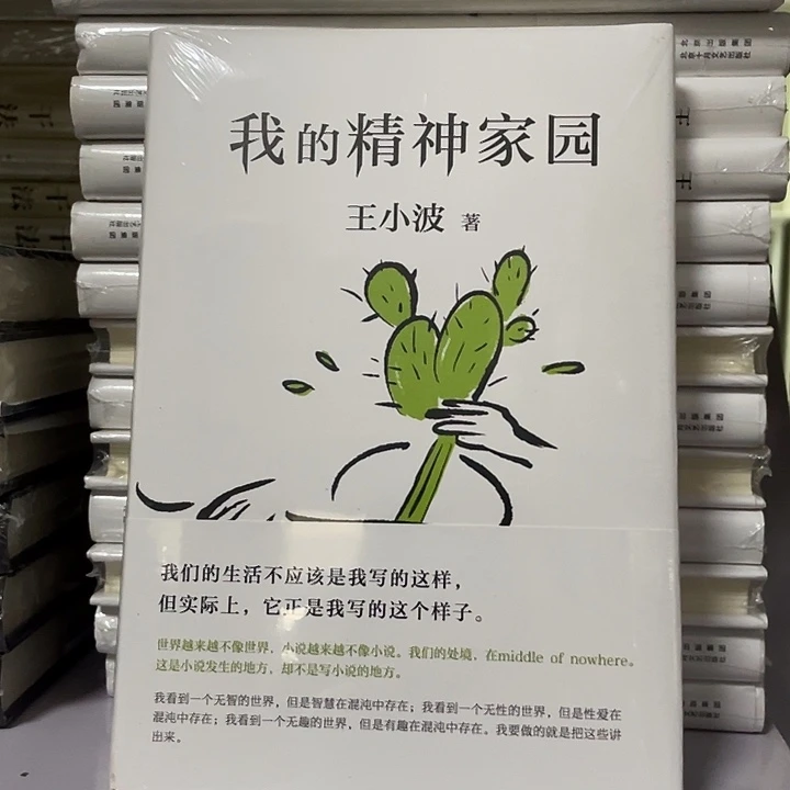 我的精神家园   精装带塑封