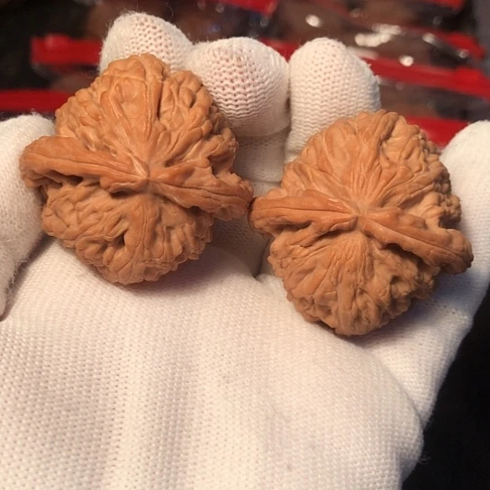 文玩核桃把件白狮子40