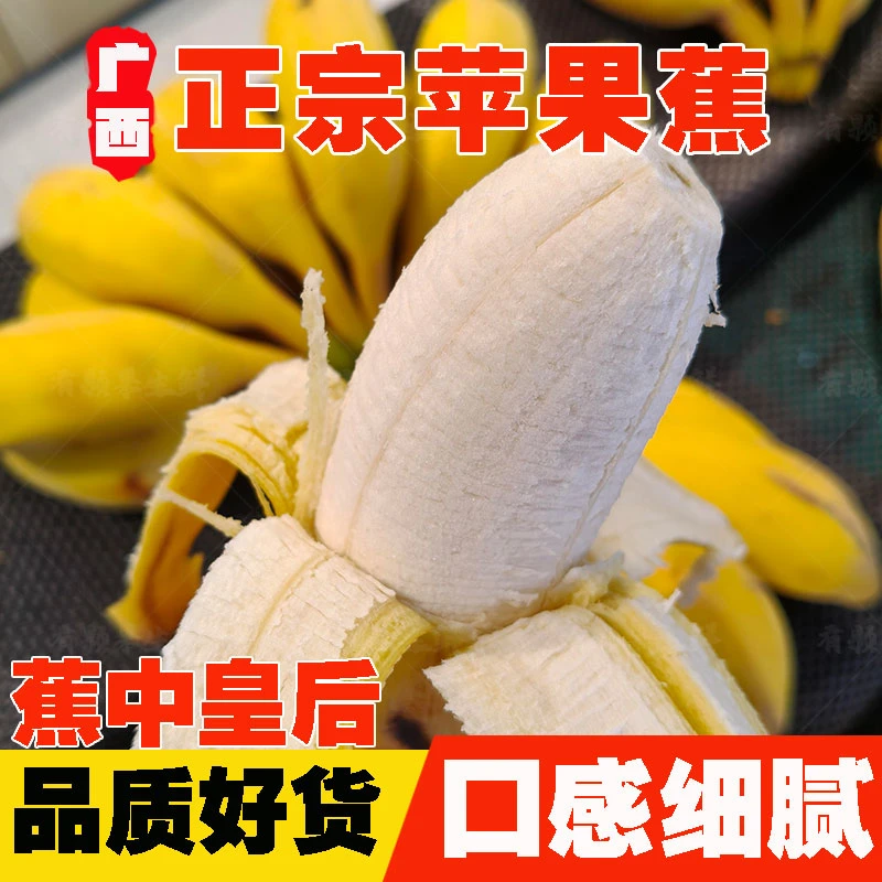 【正宗广西苹果蕉】大果当季孕妇水果粉糯香甜现摘现发新鲜香蕉包邮
