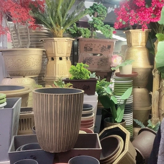 红陶盆景88698965