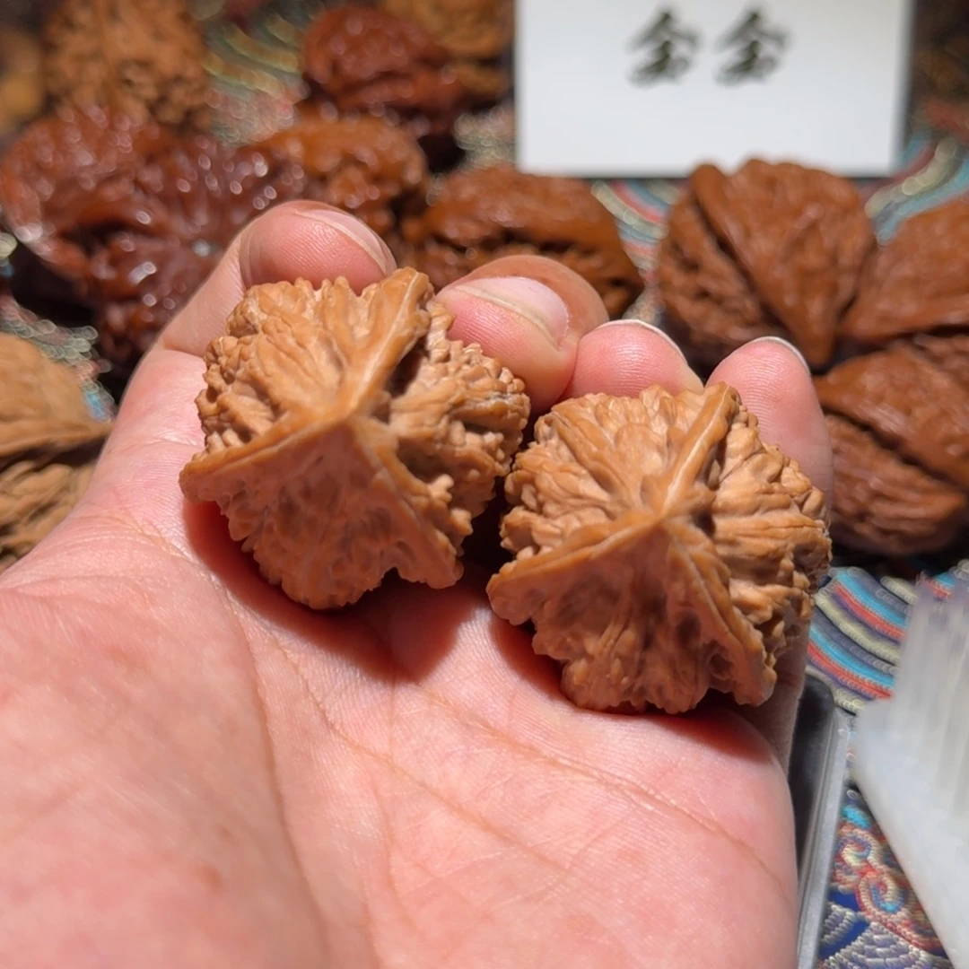 把件核桃1254文山，尺寸37