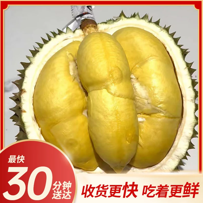 【同城配送】泰国树熟新鲜长柄榴莲 榴莲开肉【1.5-2.5斤】 三年爆款榴莲果肉绵密丝滑核大但好吃长柄泰国