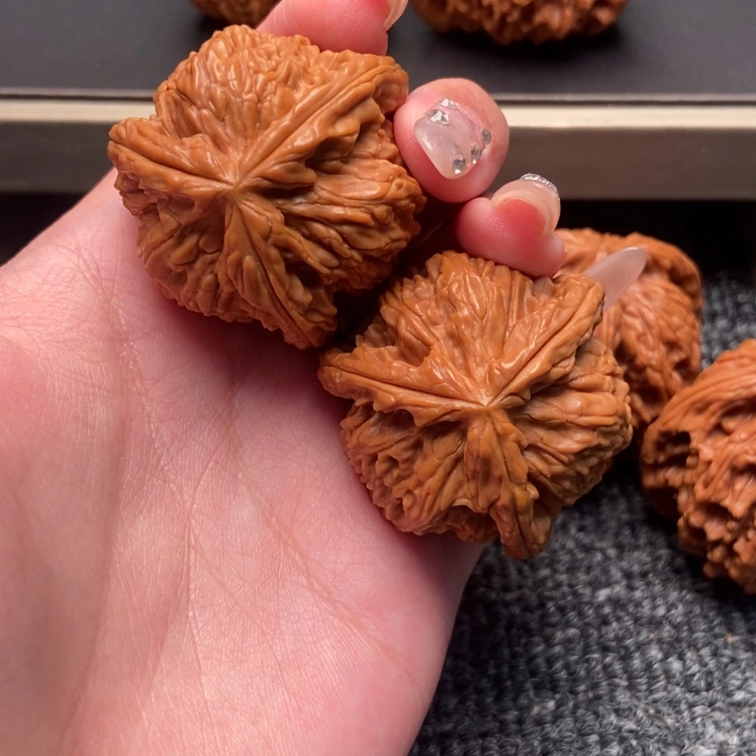 暫***號木质类白狮子正奔