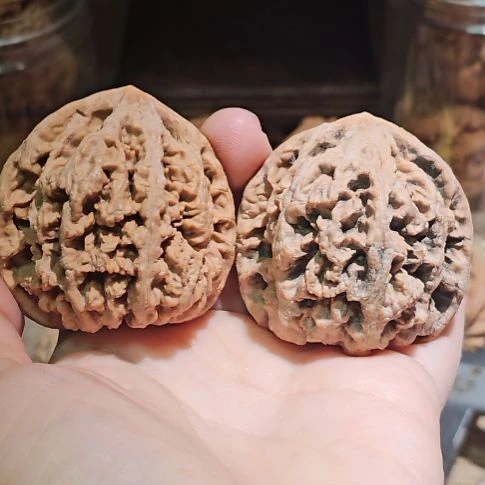 文玩核桃吊坠48粗筋