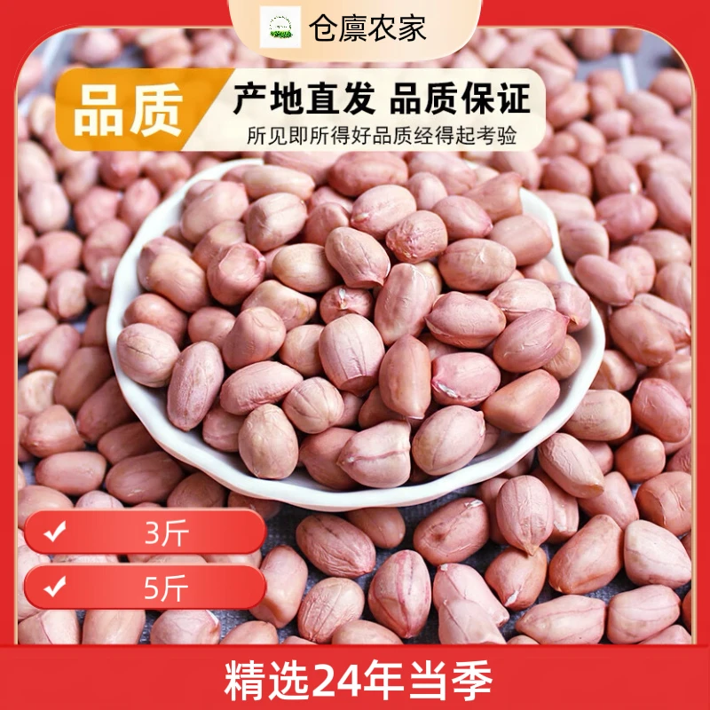 河南农家脱壳大颗粒生花生米24年当季食用榨油