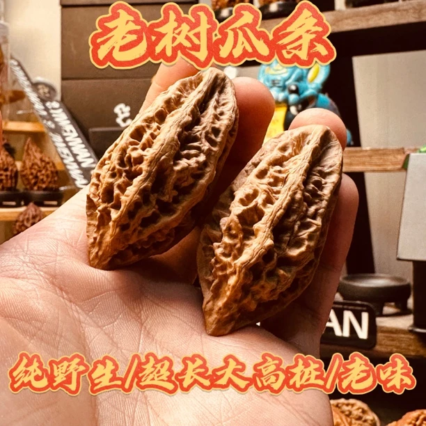 【老树瓜条】文玩核桃纯野生小众高桩送长辈送男友感动到哭礼物老派