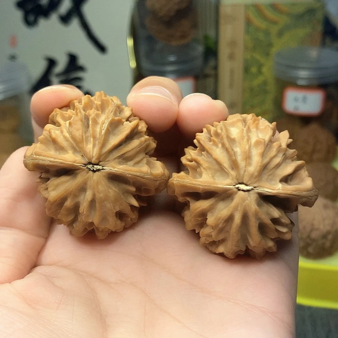 爱***觉42尺寸全品无修招财鼠
