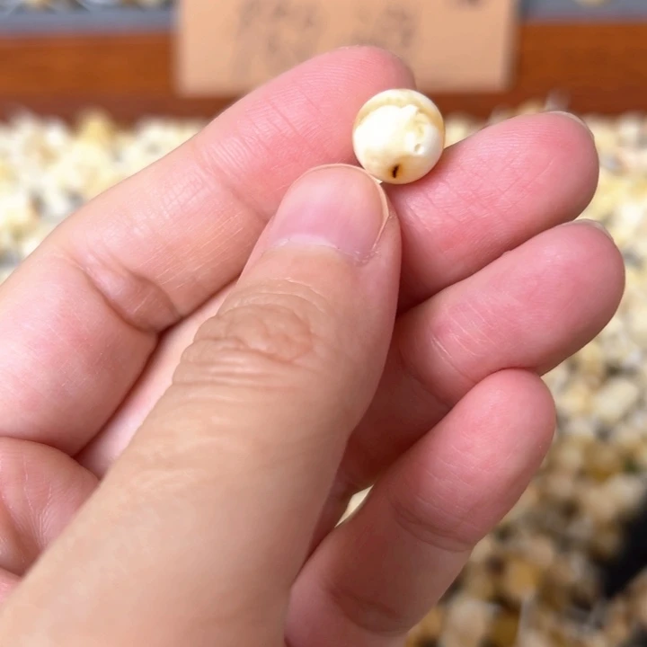 蜜蜡未镶嵌裸石9.8mm一个