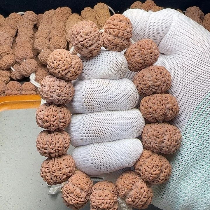 菩提籽类23超头6瓣