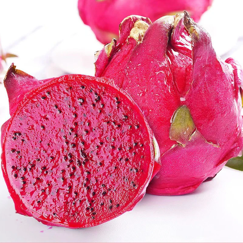 【金都一号】红心火龙果现摘现发新鲜应季皮薄肉厚香甜多汁q3