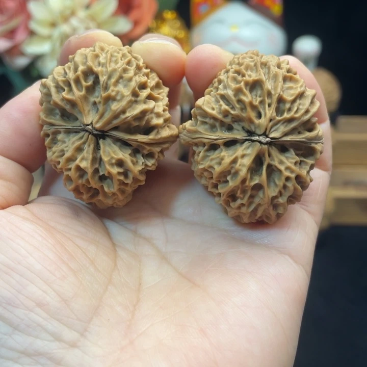 文玩核桃把件云南铁核桃43