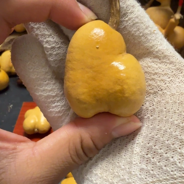 决***尼打皮伤76666666666