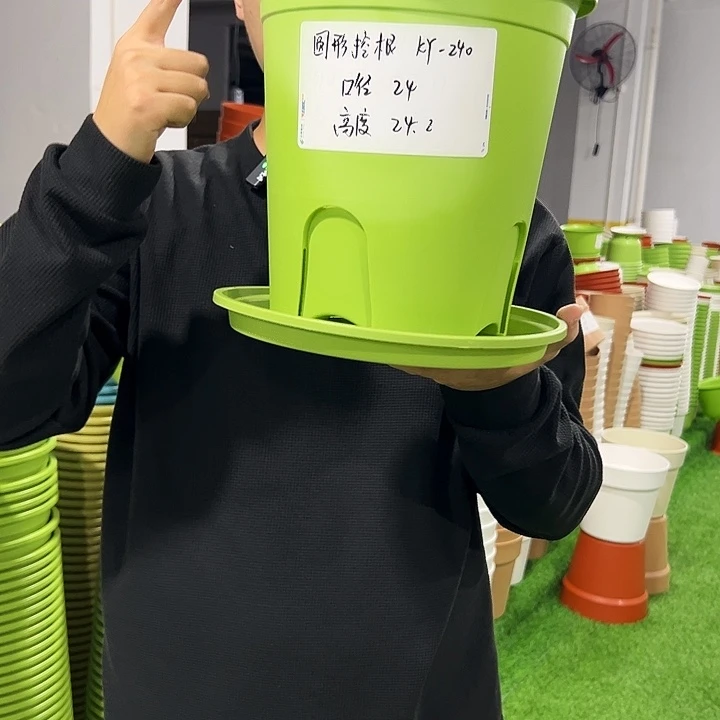 正品圆控口24高24果绿色8支带托
