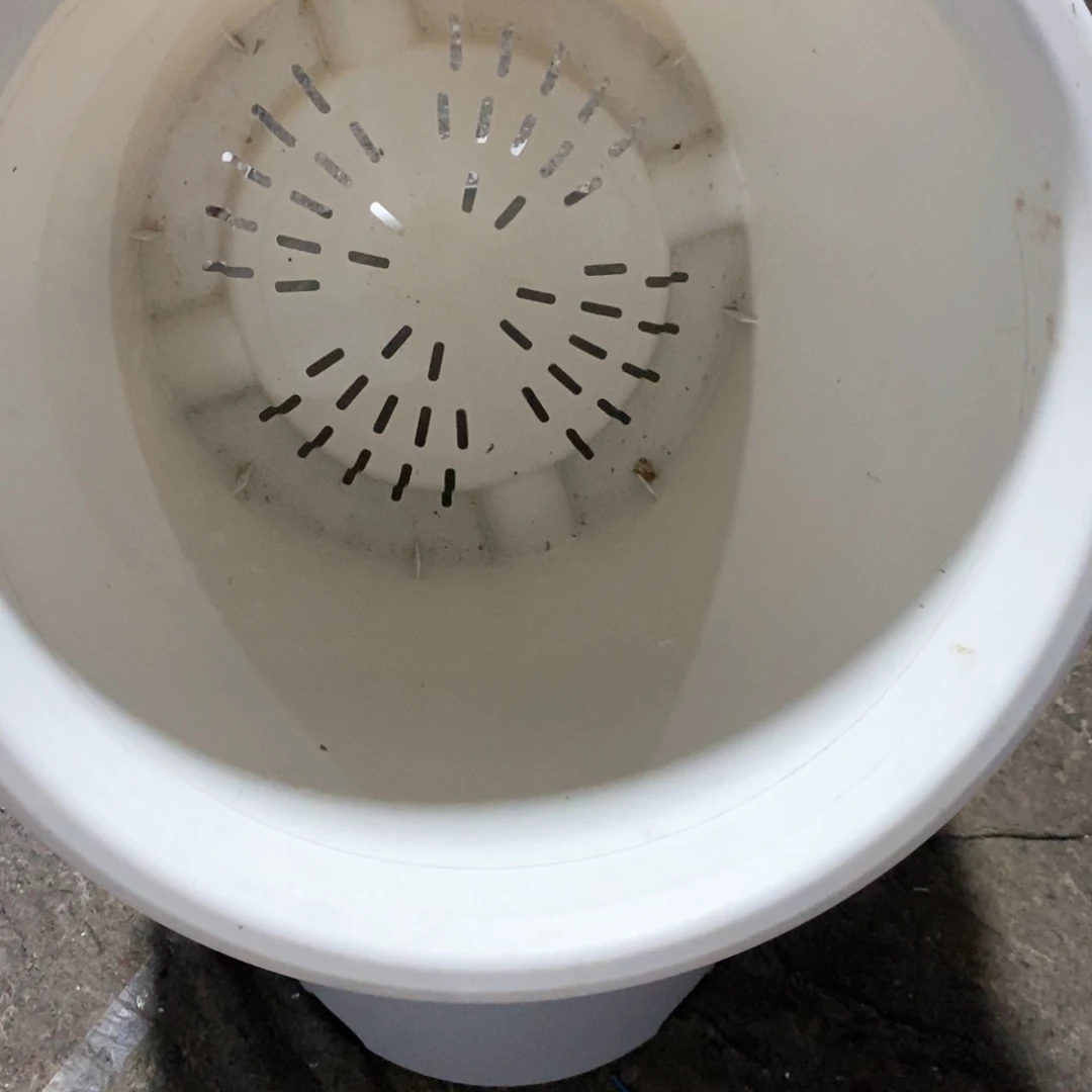 10个46口米白色无托