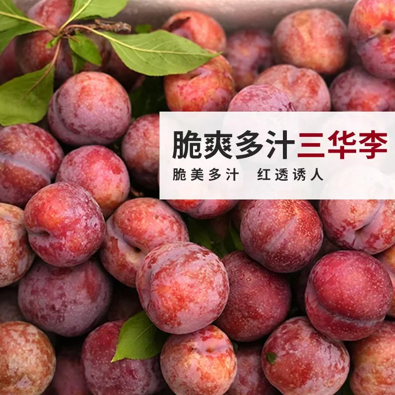 红心三华李酸甜爽口高山种植新鲜采摘孕妇爱吃的应季水果包邮