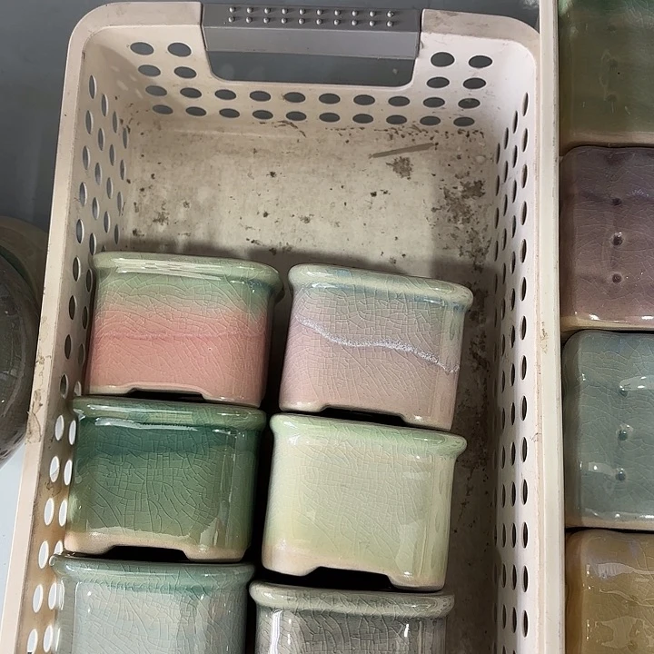 红陶发6个，非完美，介意慎拍