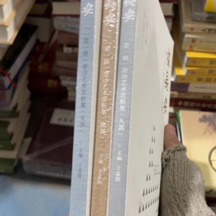 望长安唐诗艺术欣赏集全三册