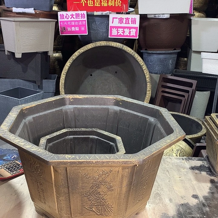 复合爱**景ch j g j j