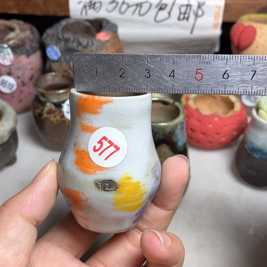 拍5送一个小礼物