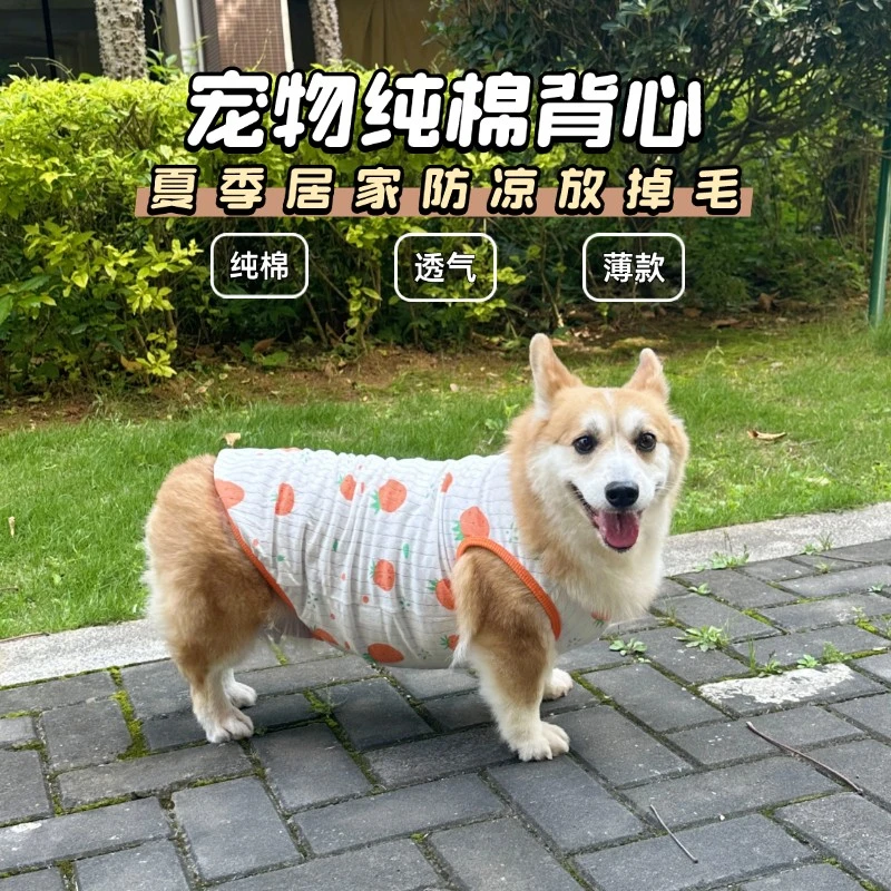 狗狗衣服薄款宠物背心防掉毛狗狗春夏季薄款衣服夏款柯基猫咪衣服