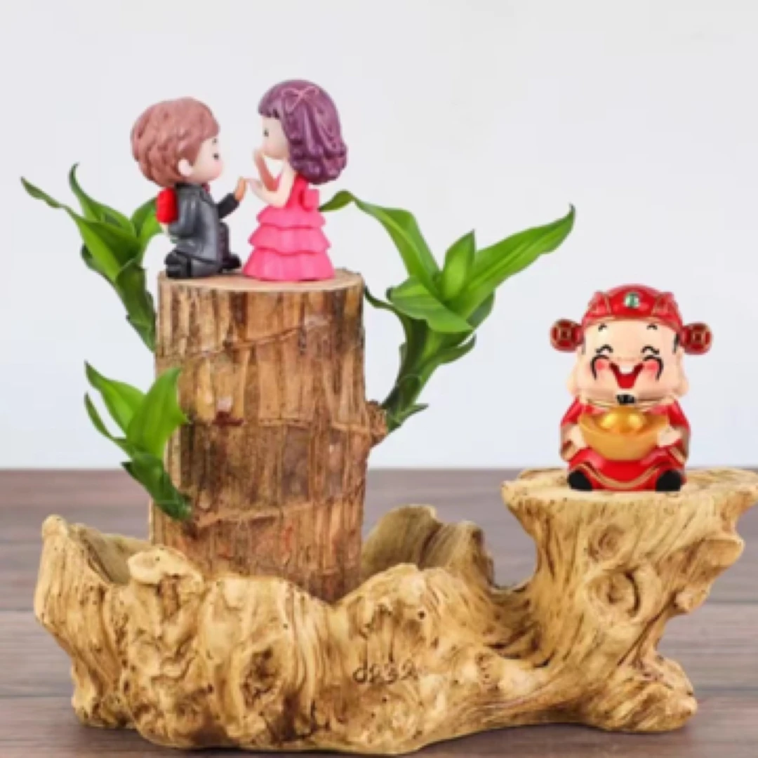 带叶子发货巴西木