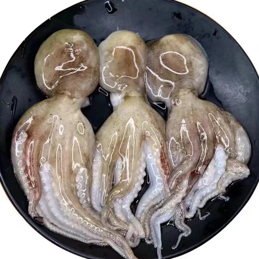 野生短腿八爪鱼5-7条/斤，连云港发货，可红烧爆炒顺丰冷冻发货  帅