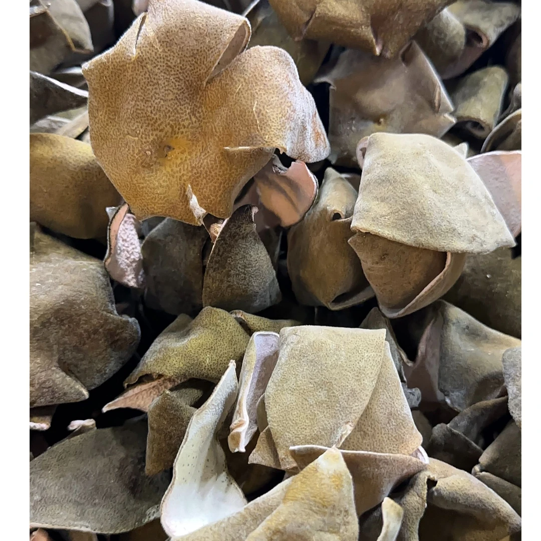 3年陈超薄五爪（小陈总）源头化橘红果断皮化州市平定镇直发正毛