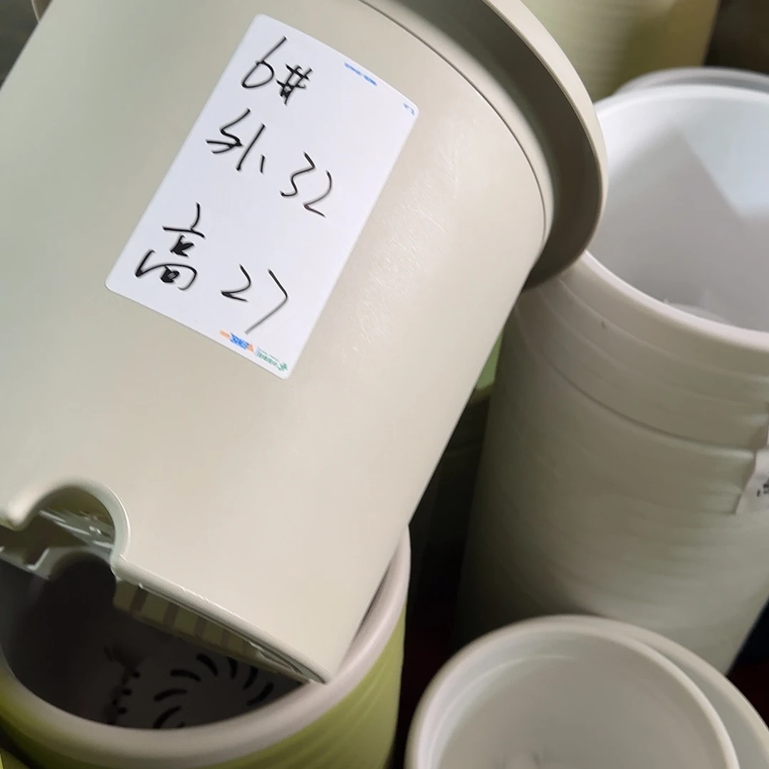 树脂四季6号无托6个米黄