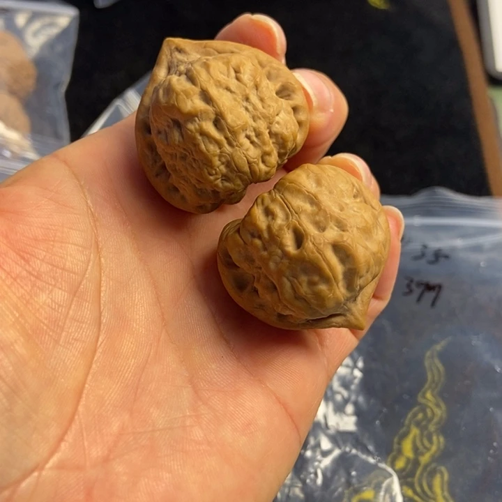 桃核吊坠古蝉核桃399399