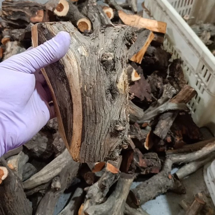 柏木（崖柏）尚****制崖柏原叉崖柏原叉