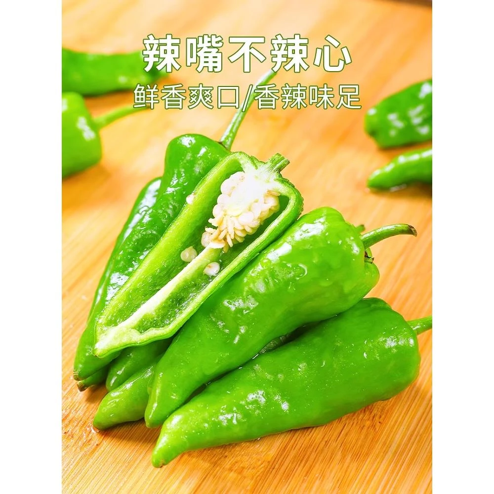 江西正宗余干辣椒苗秧苗高产四季春季余干辣椒种籽子蔬菜苗尖椒苗