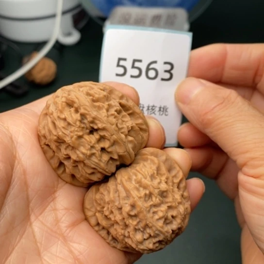 把件文玩核桃38白狮子5563