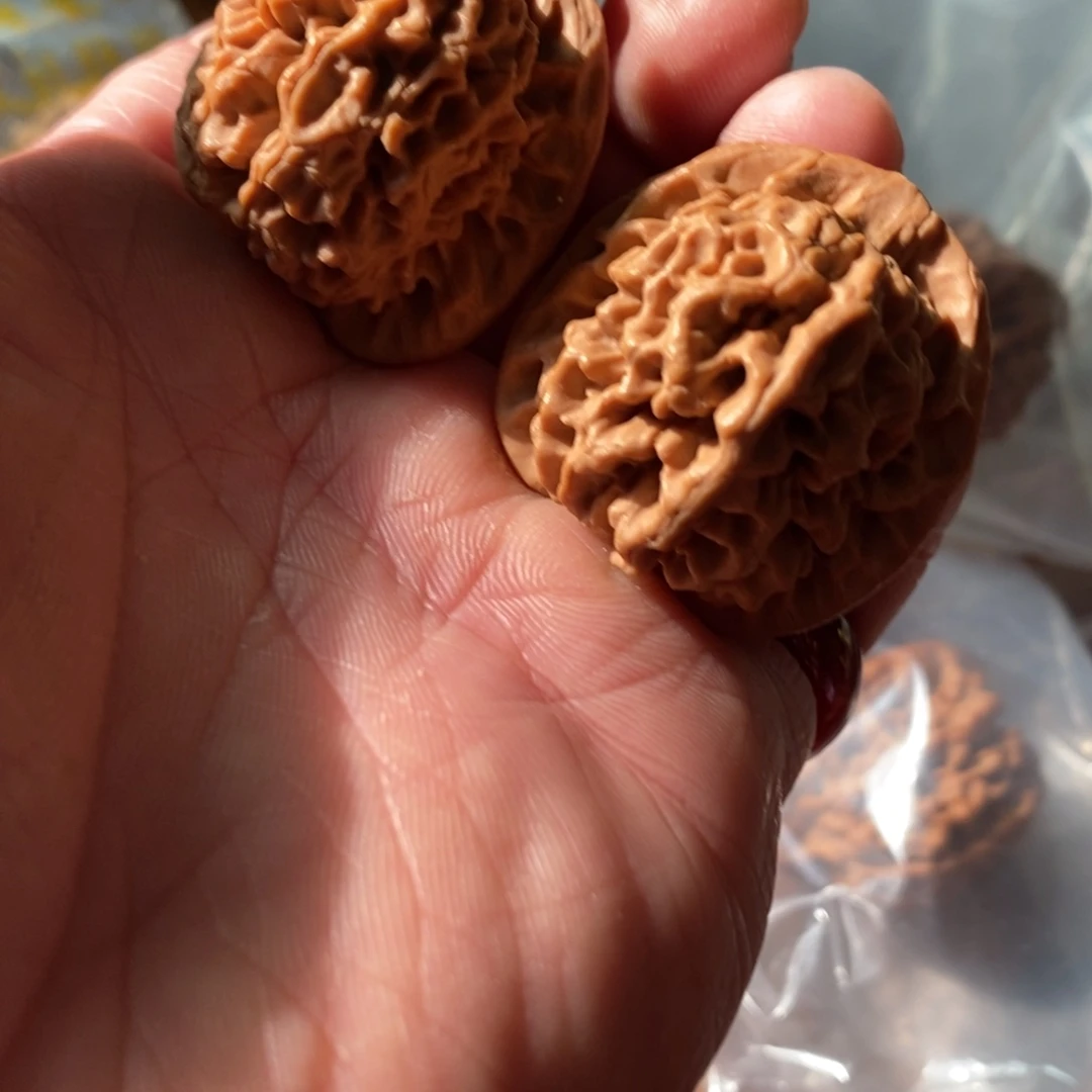 秦岭南侧和东北北部部分