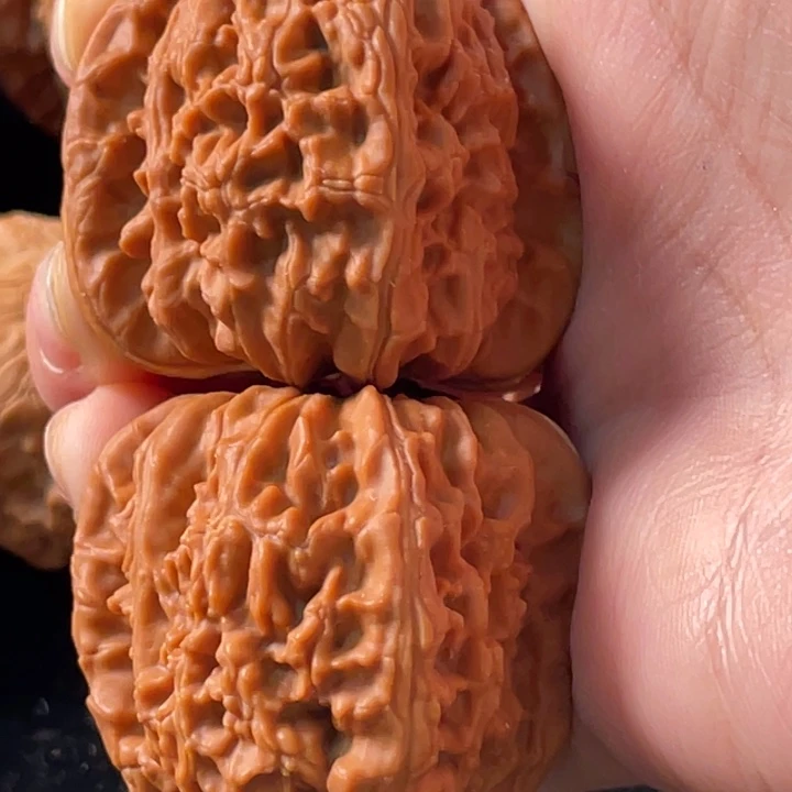 大叶紫檀（黑酸枝木类）