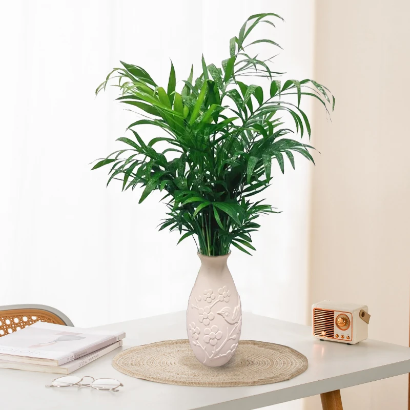 龙蛋梅花瓶水培富贵椰子室内绿植办公室客厅书房袖珍椰四季好养护